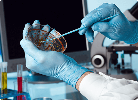 Fine chemicals and solvent-containing filter cakes