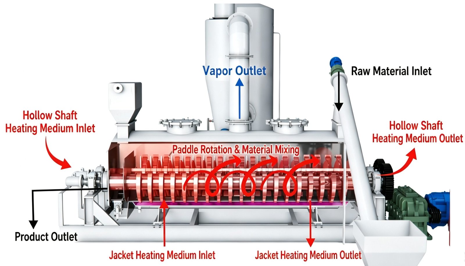Paddle Dryer Internal Structure Diagram